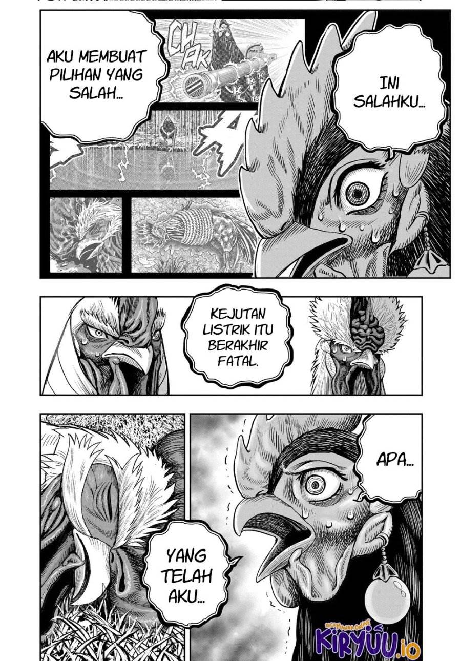 Rooster Fighter Chapter 34