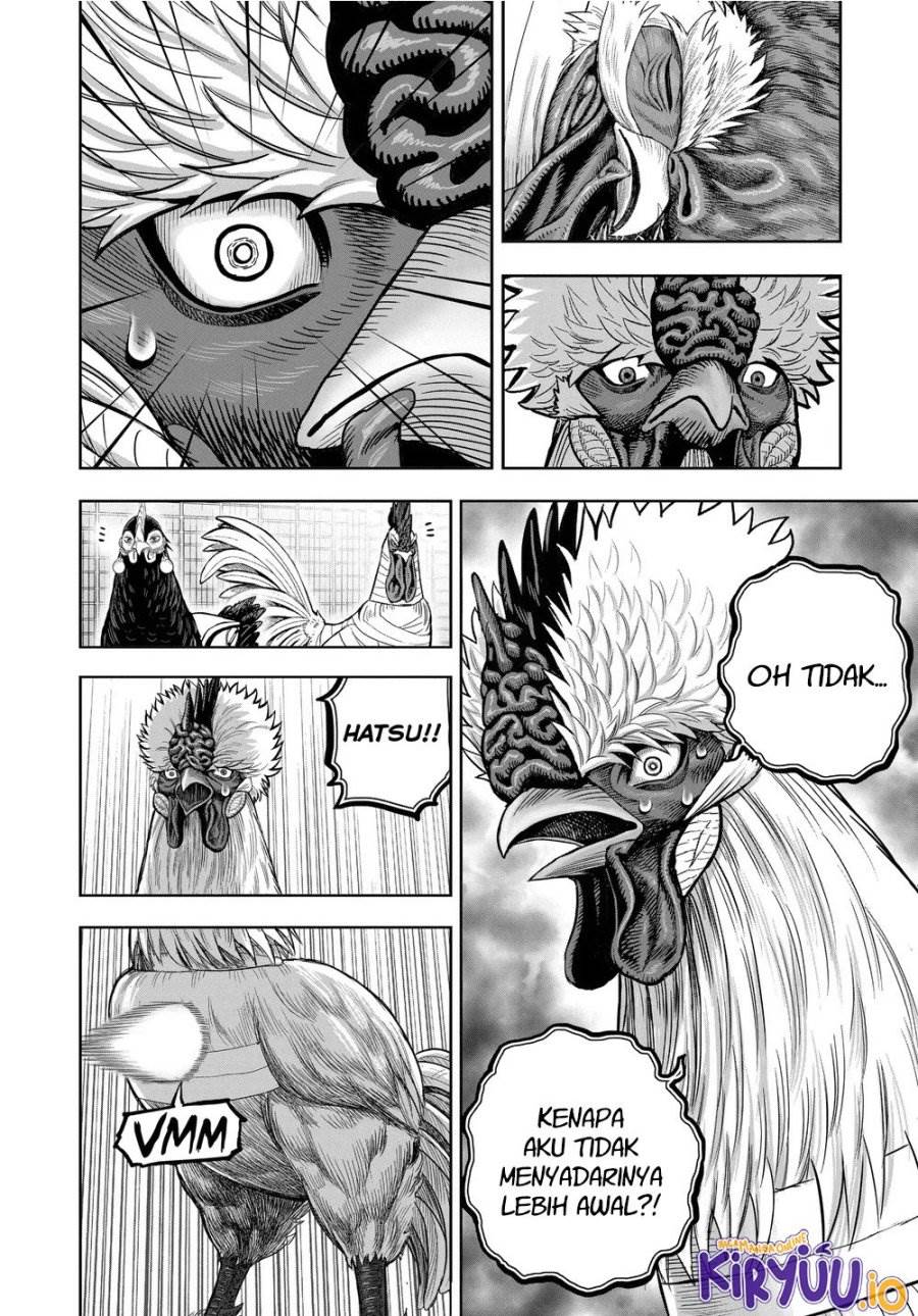 Rooster Fighter Chapter 34