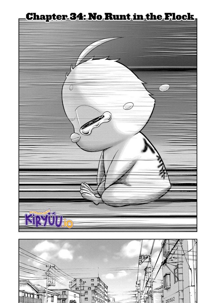 Rooster Fighter Chapter 34