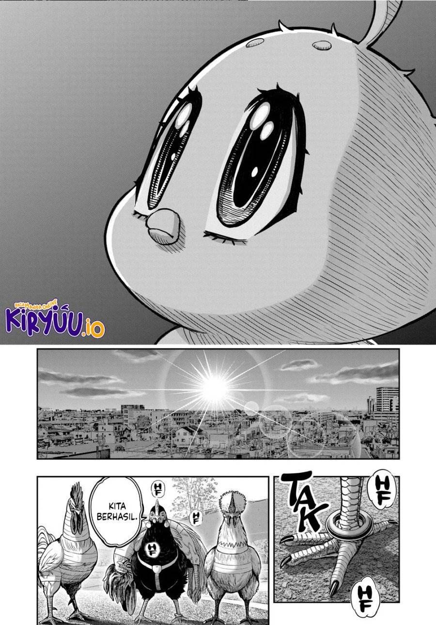 Rooster Fighter Chapter 35
