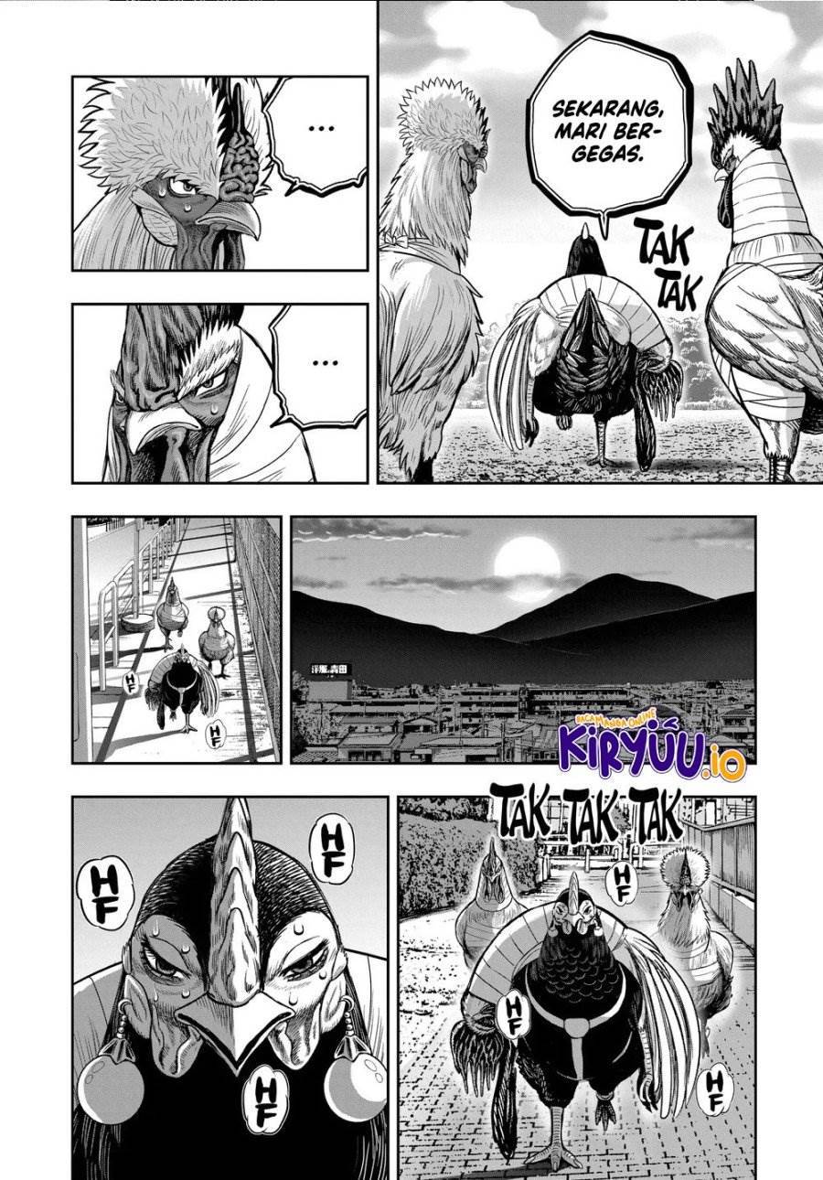 Rooster Fighter Chapter 35