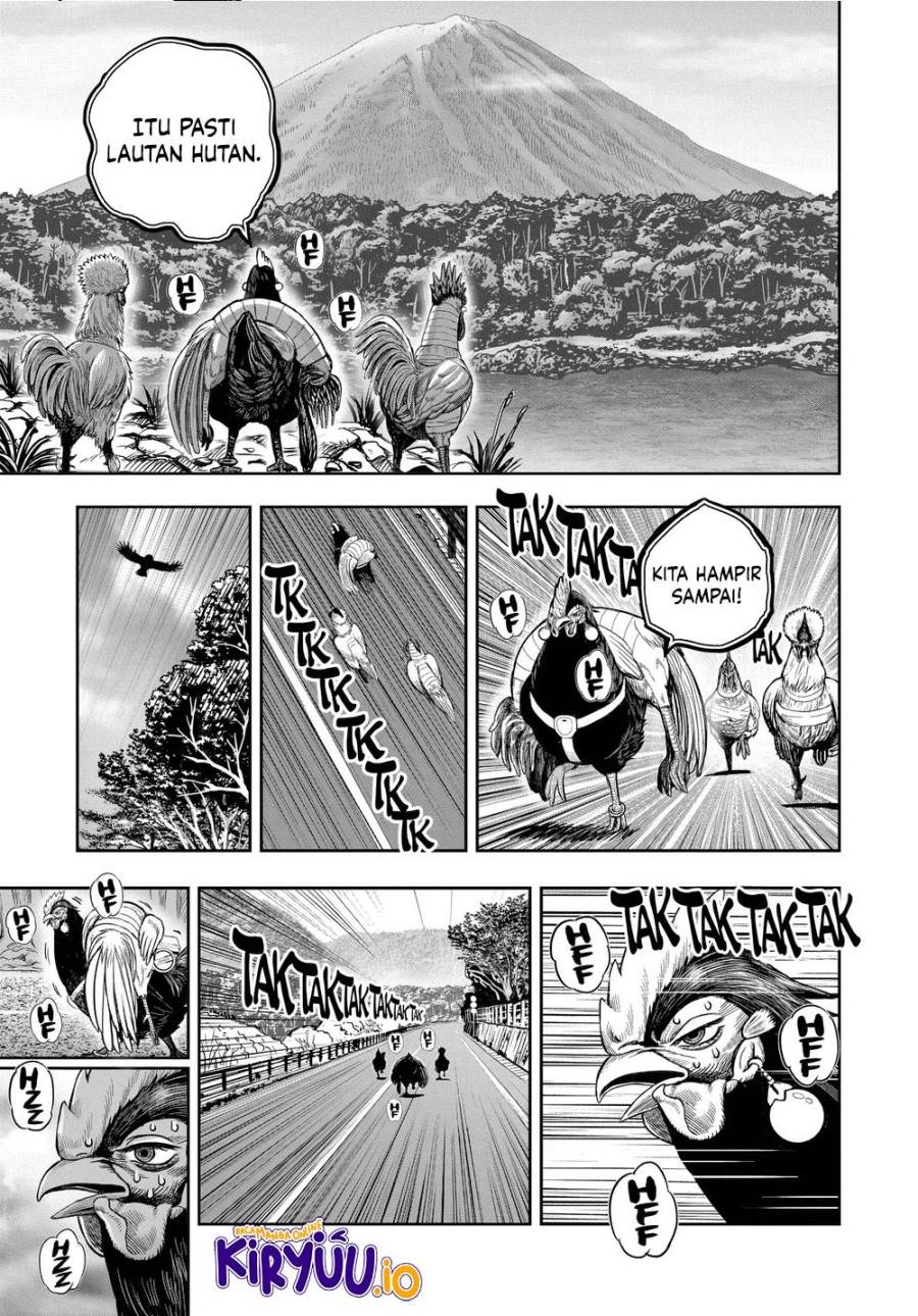 Rooster Fighter Chapter 36