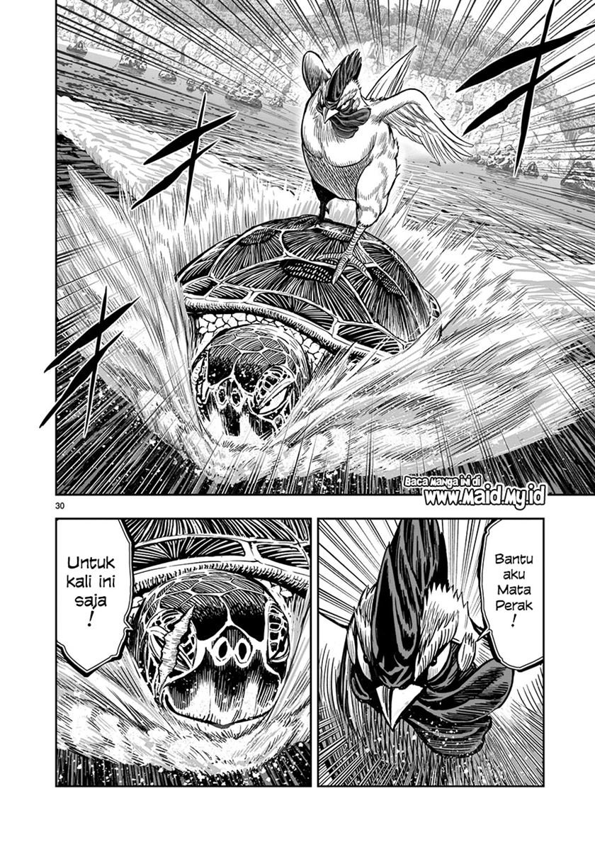 Rooster Fighter Chapter 04