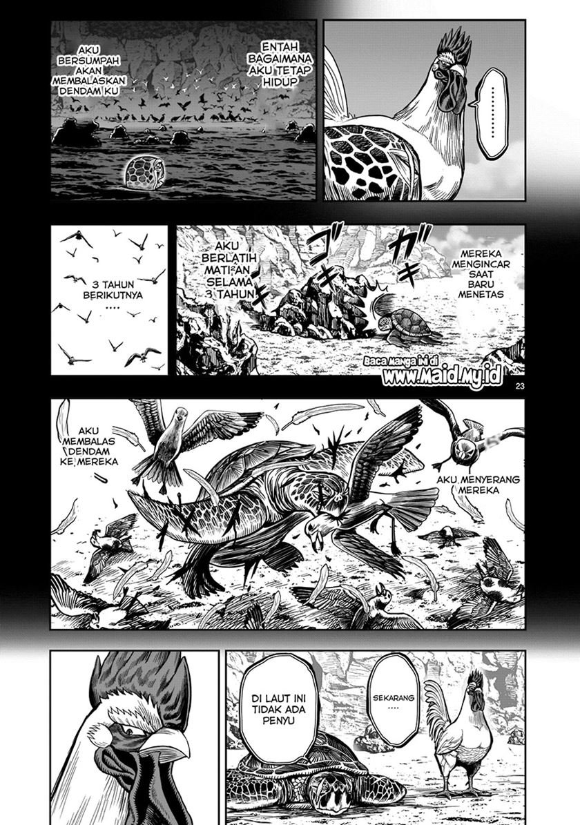 Rooster Fighter Chapter 04