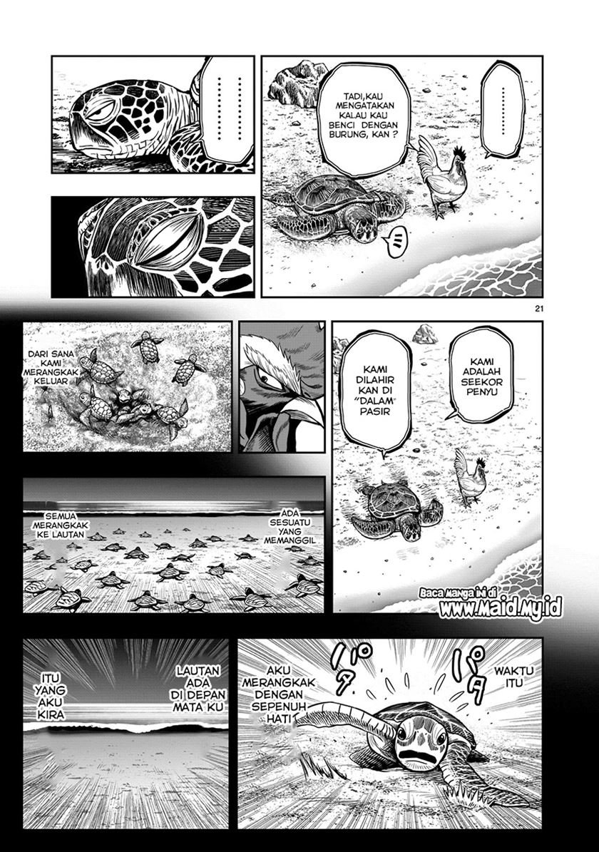 Rooster Fighter Chapter 04