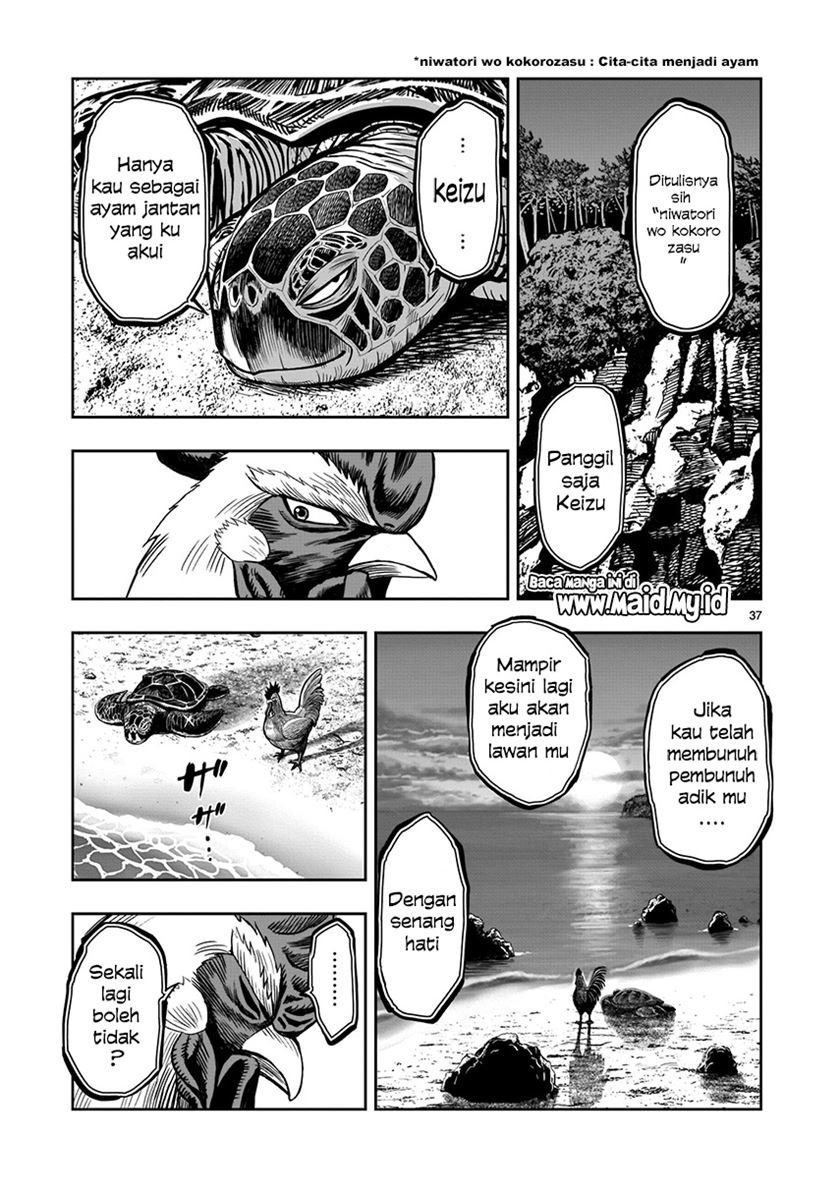 Rooster Fighter Chapter 04