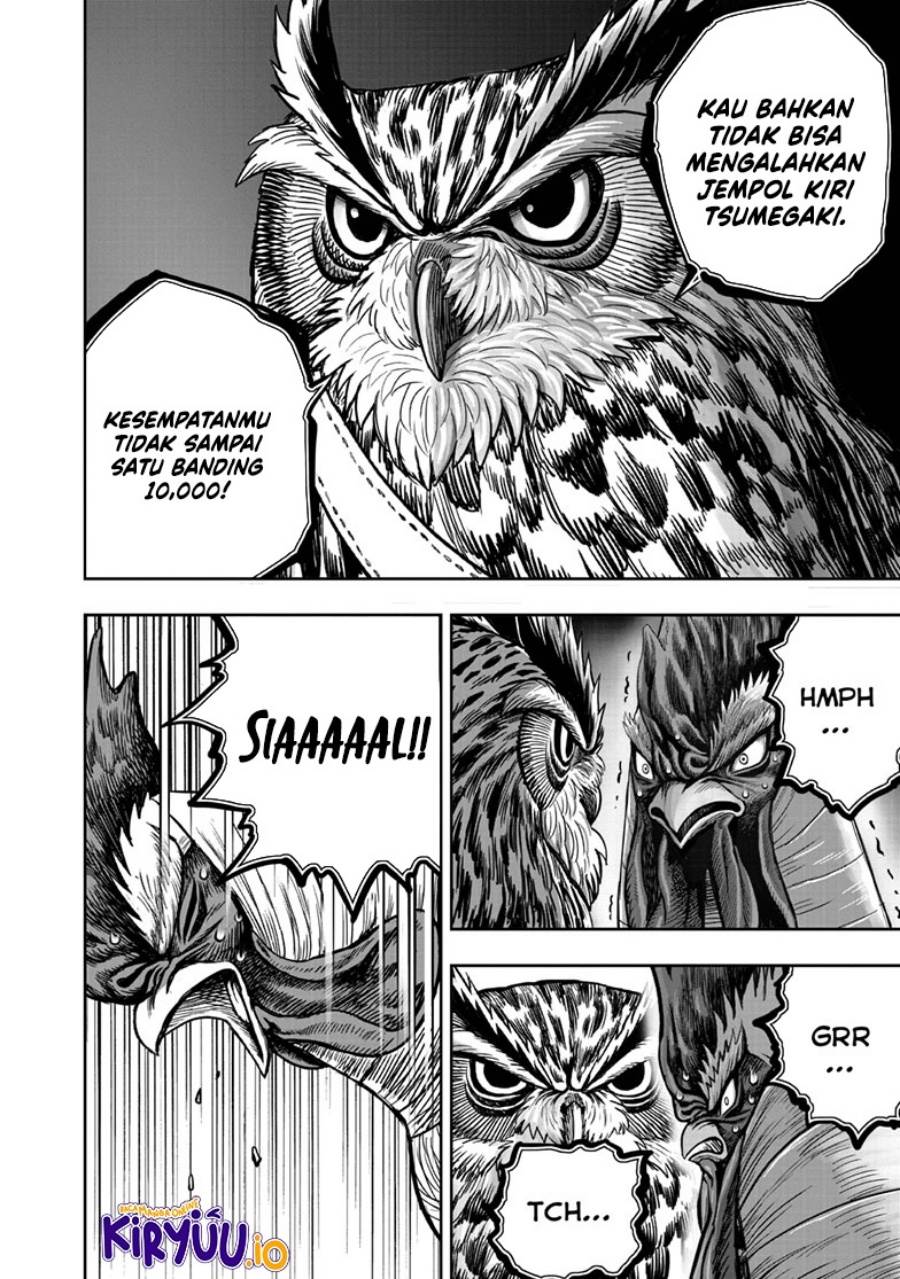 Rooster Fighter Chapter 41