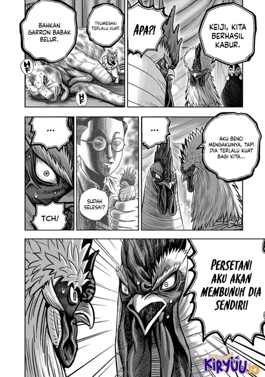 Rooster Fighter Chapter 41