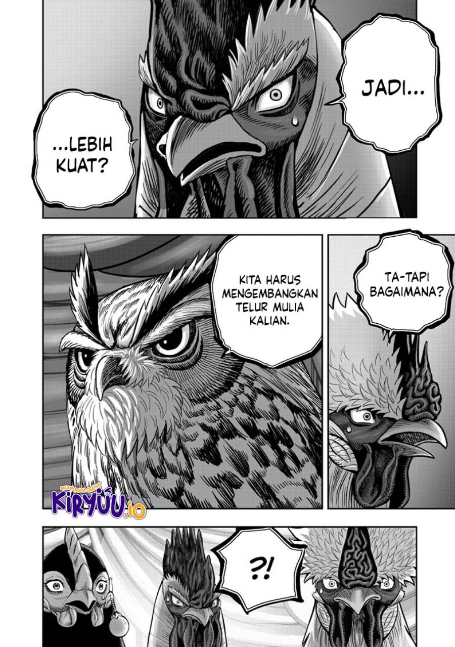 Rooster Fighter Chapter 41