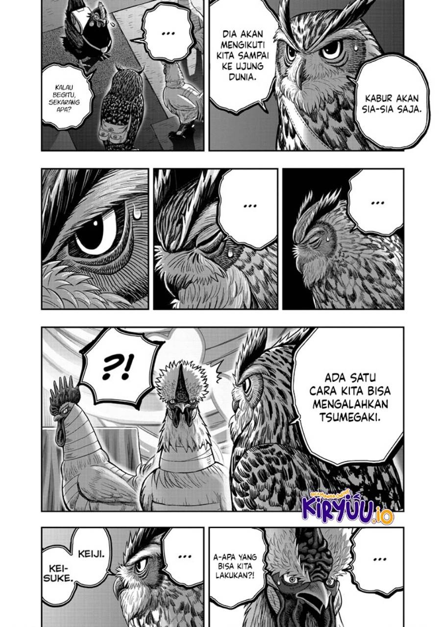 Rooster Fighter Chapter 41