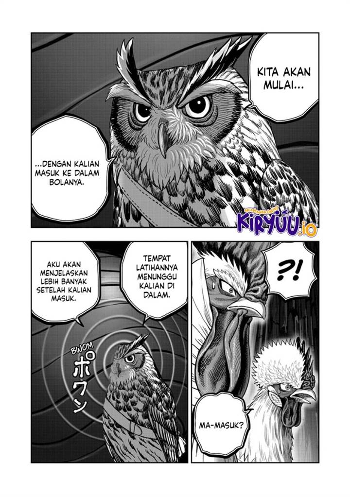 Rooster Fighter Chapter 46