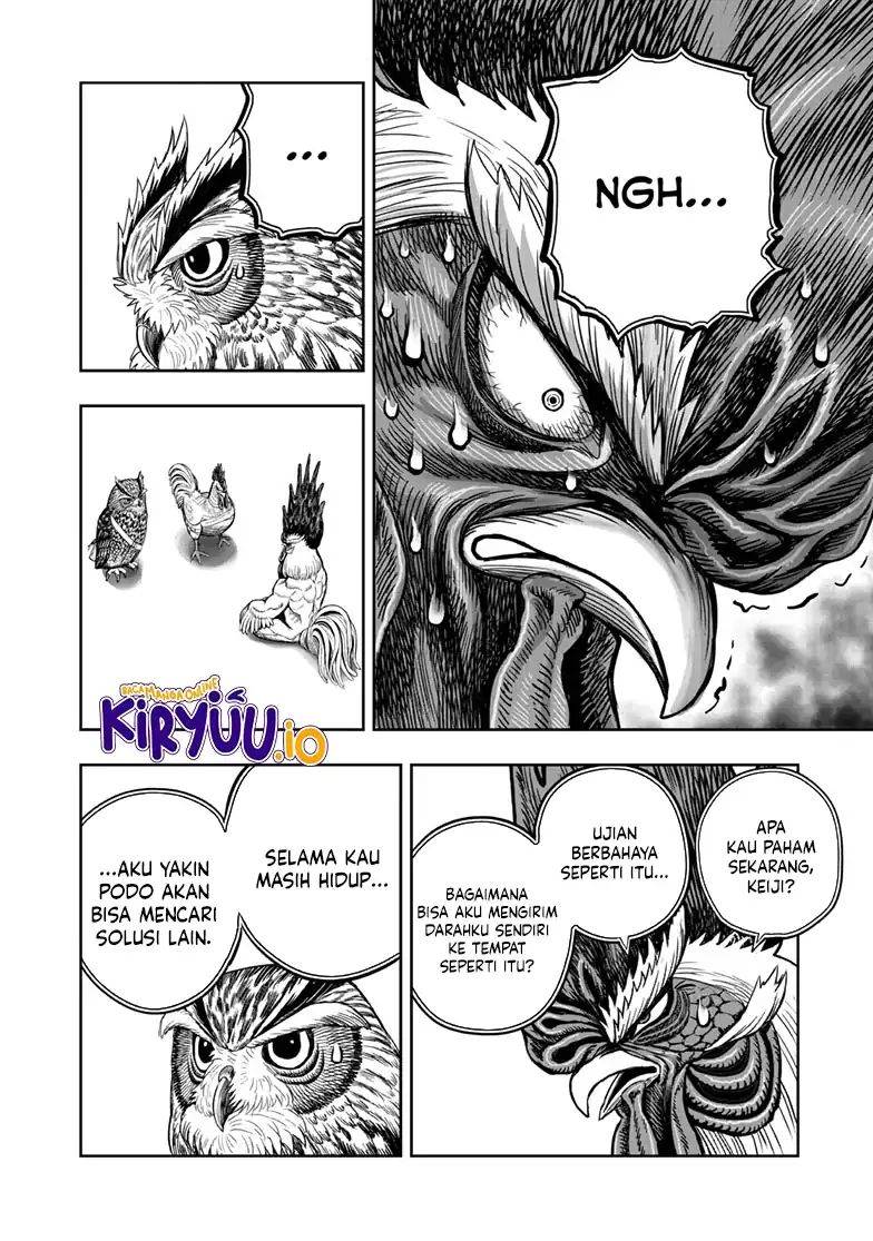 Rooster Fighter Chapter 48