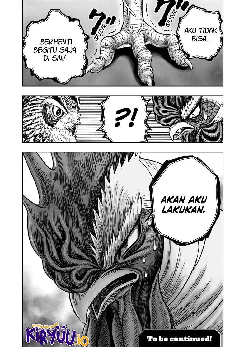 Rooster Fighter Chapter 48