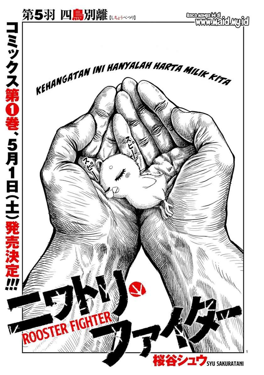 Rooster Fighter Chapter 05