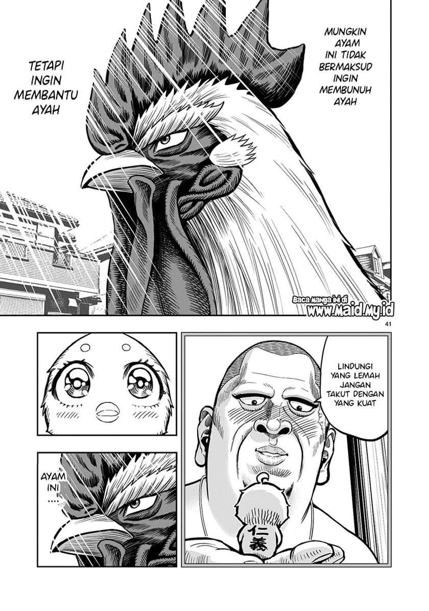 Rooster Fighter Chapter 05