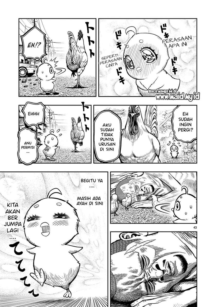 Rooster Fighter Chapter 05