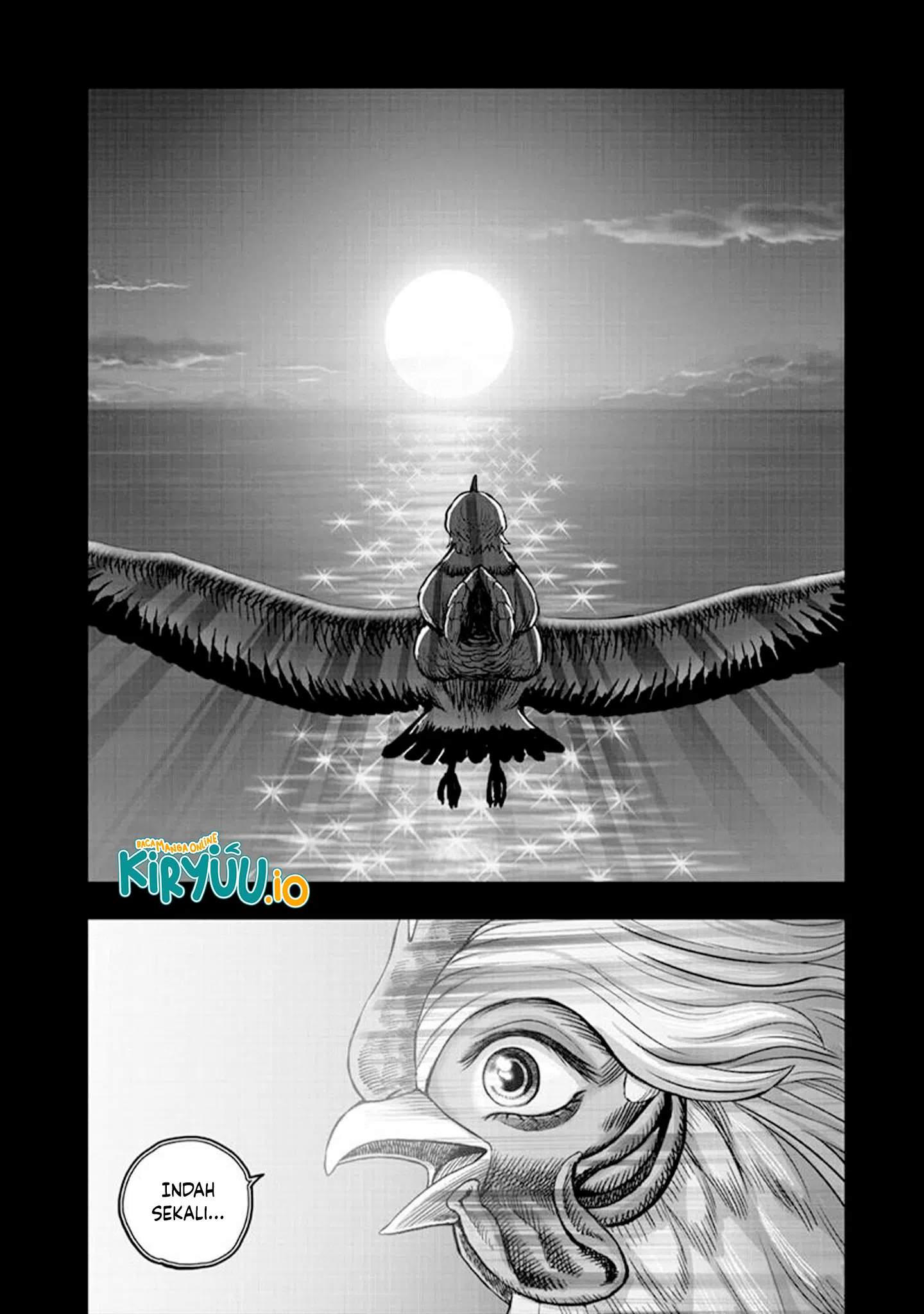 Rooster Fighter Chapter 51