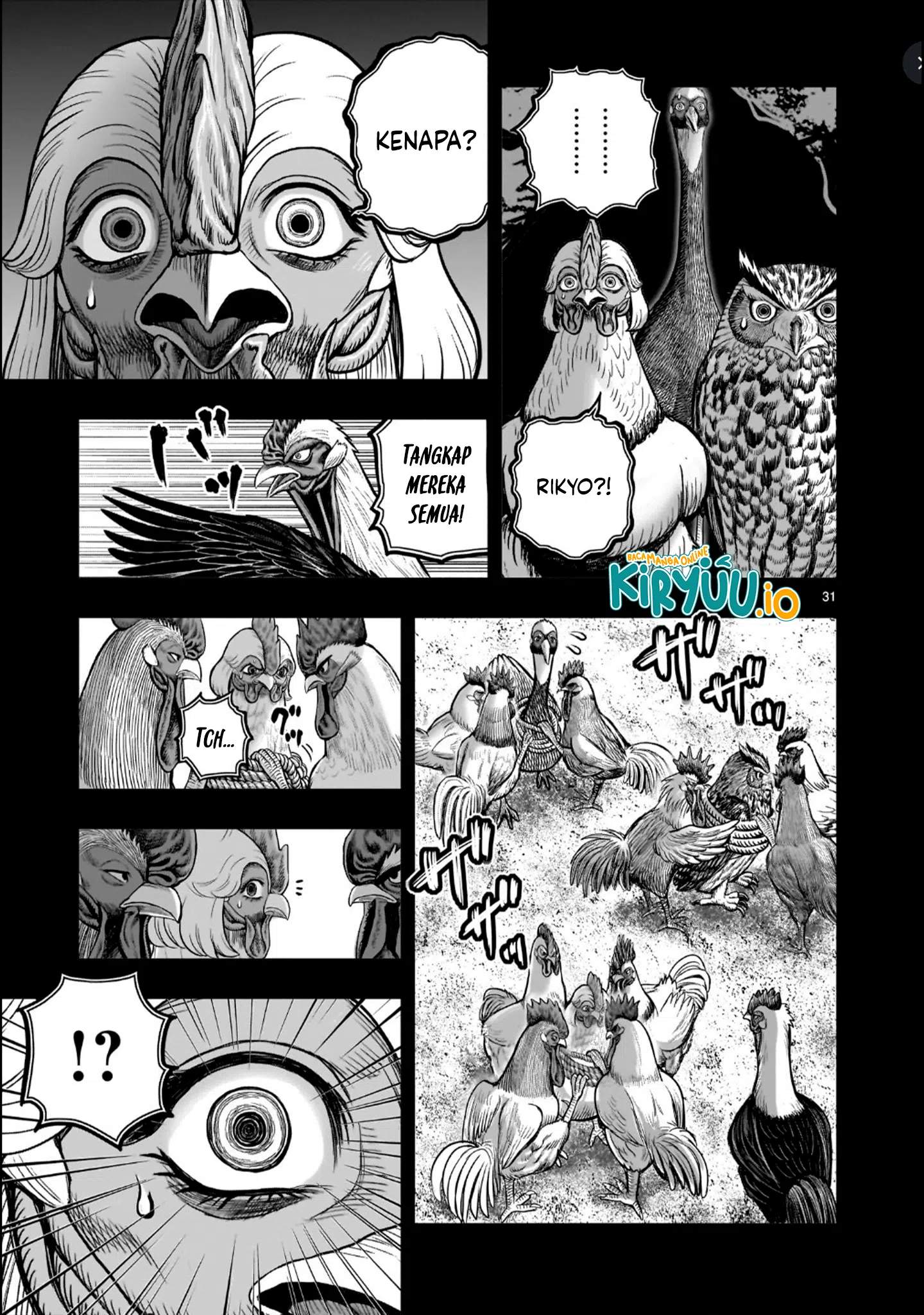 Rooster Fighter Chapter 52