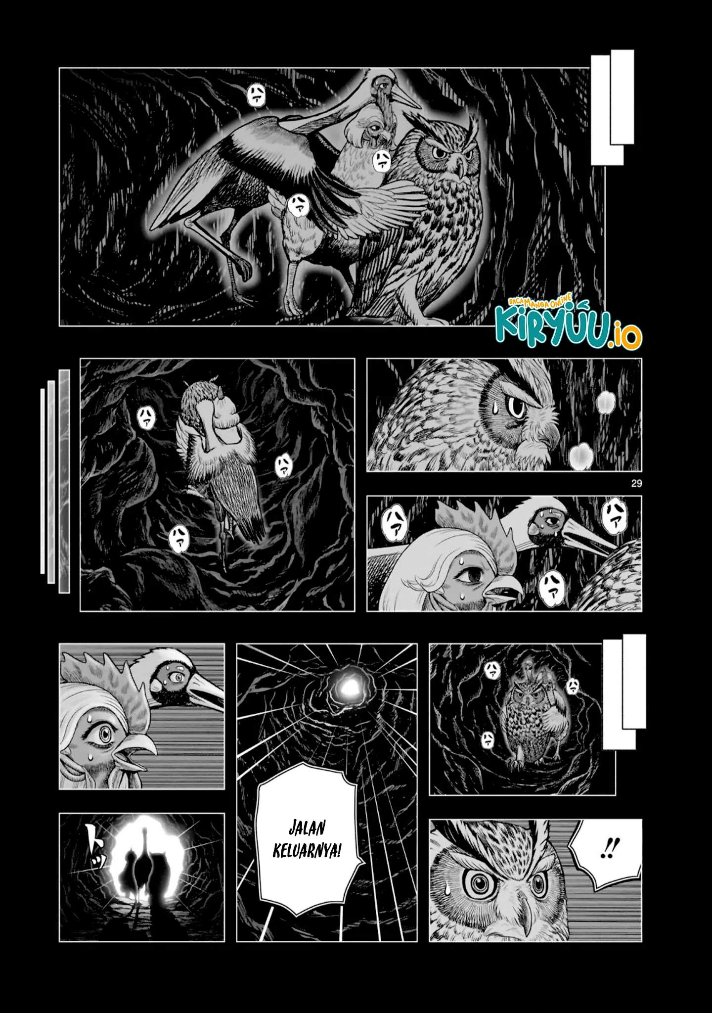 Rooster Fighter Chapter 52