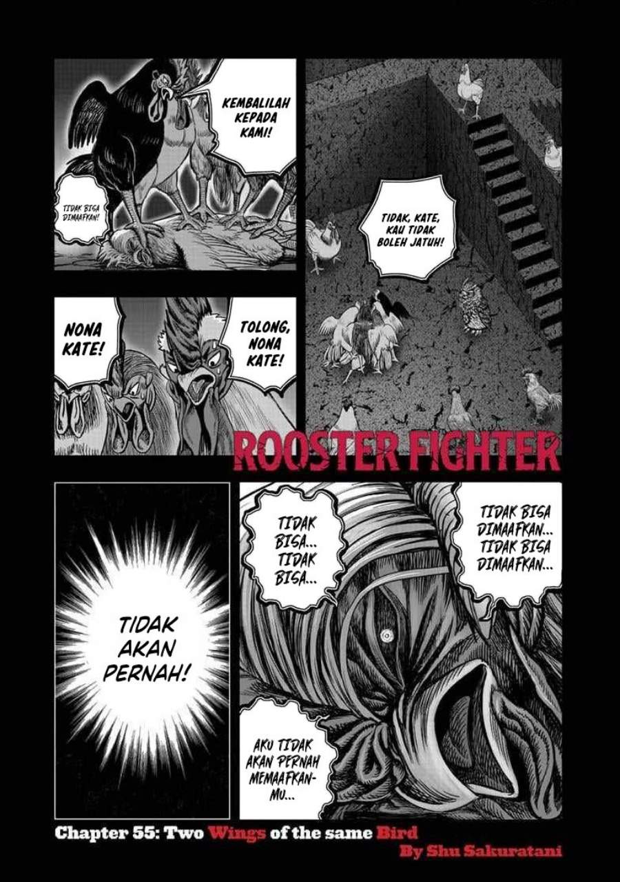Rooster Fighter Chapter 55
