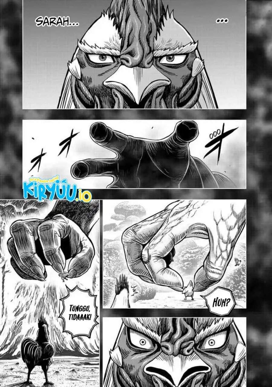 Rooster Fighter Chapter 56