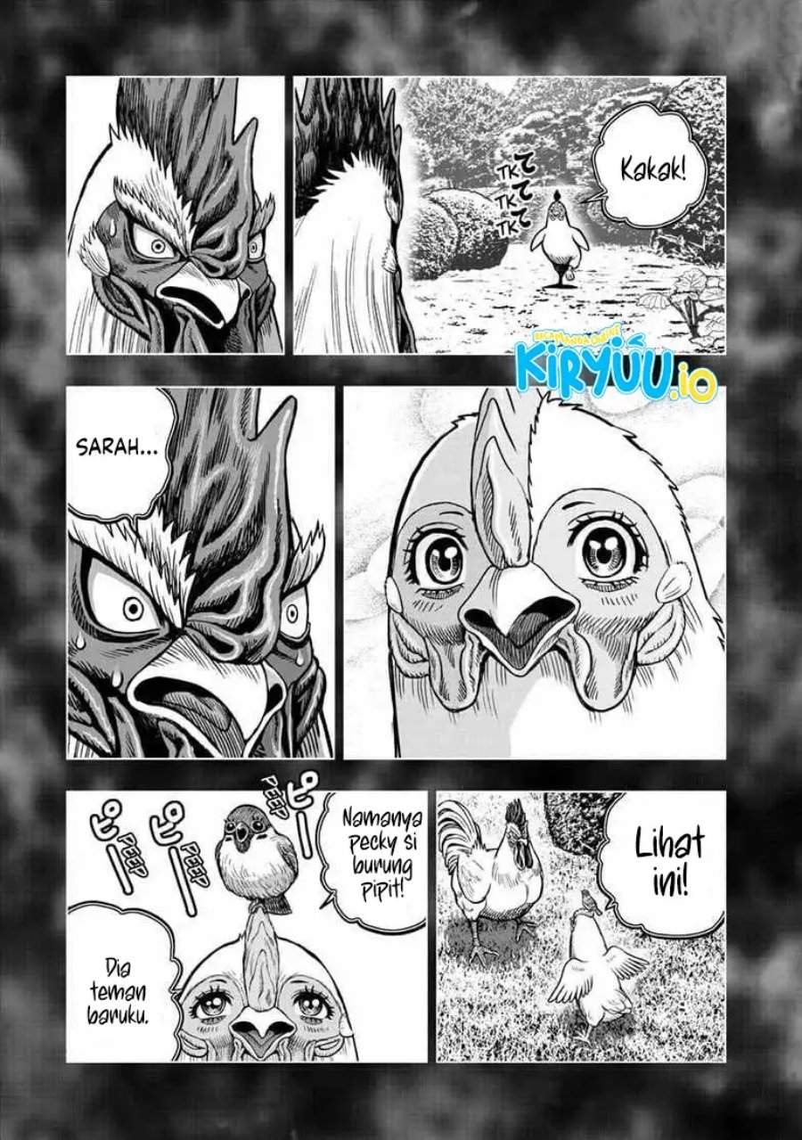 Rooster Fighter Chapter 56
