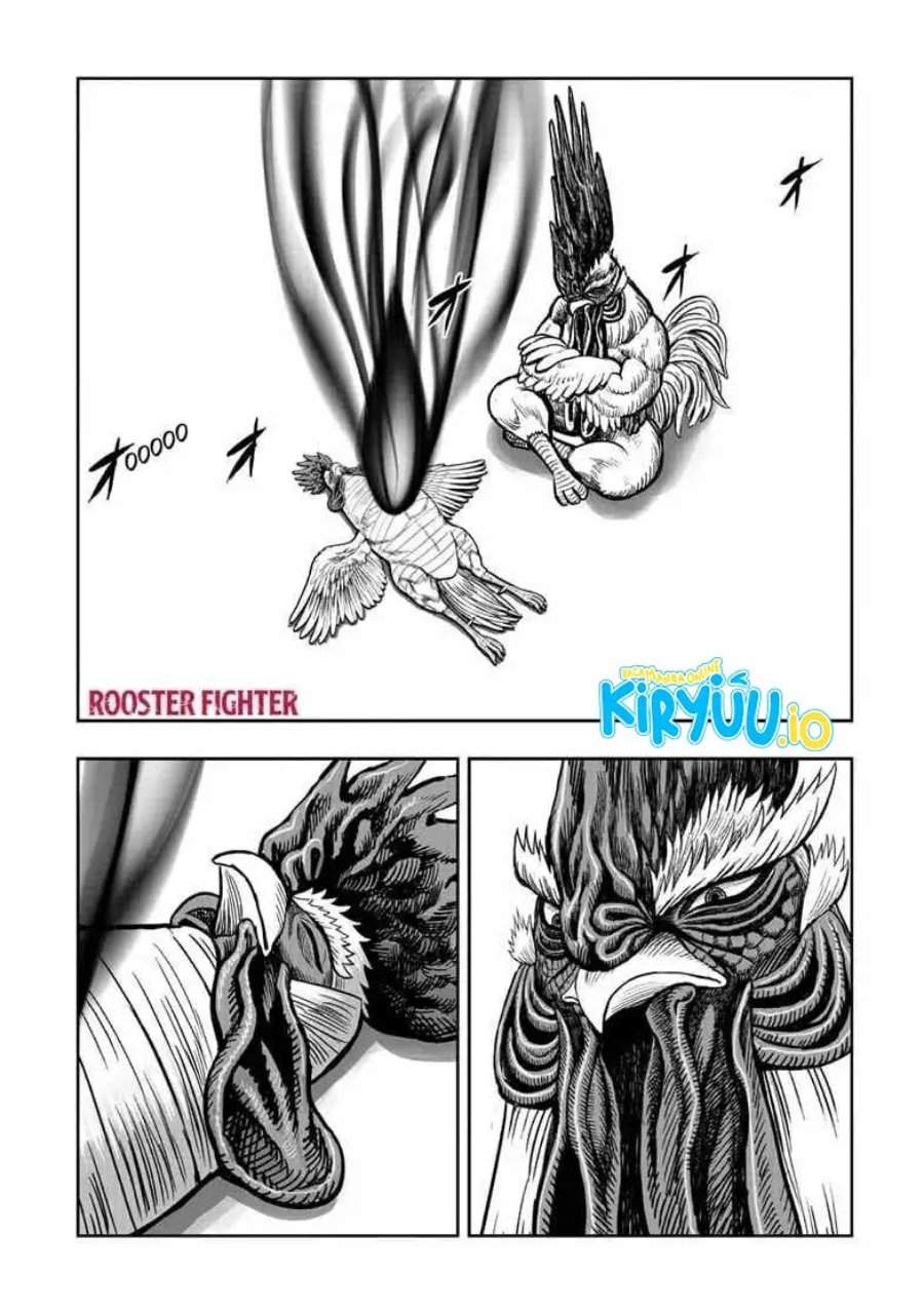 Rooster Fighter Chapter 56