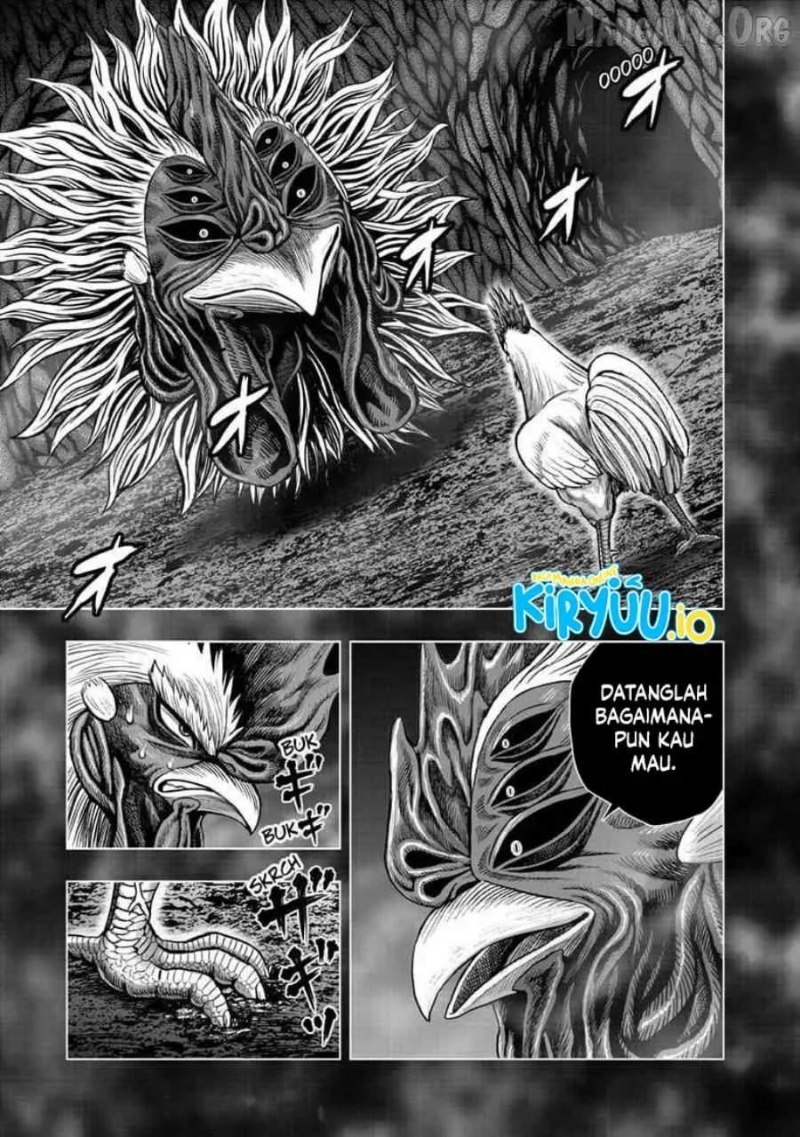 Rooster Fighter Chapter 56