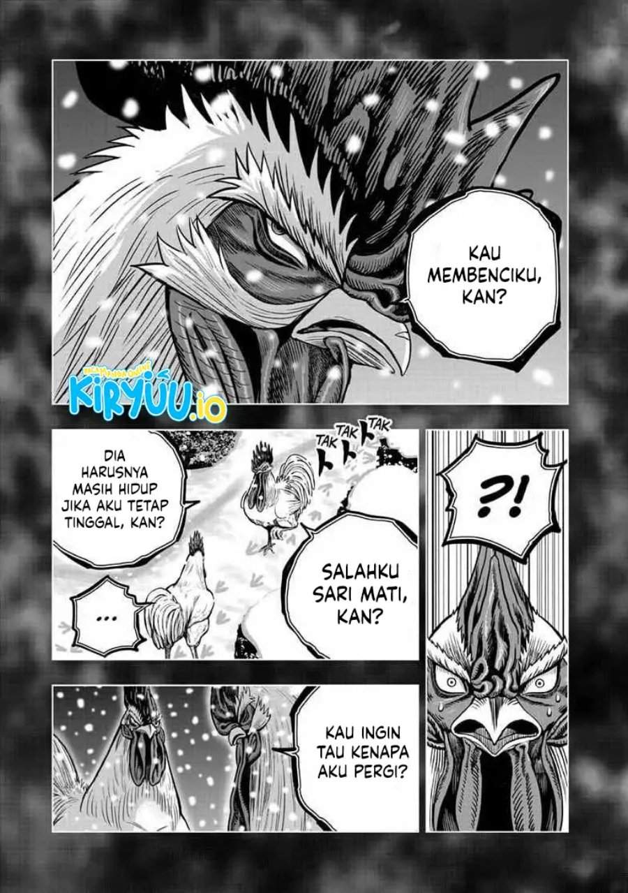 Rooster Fighter Chapter 56