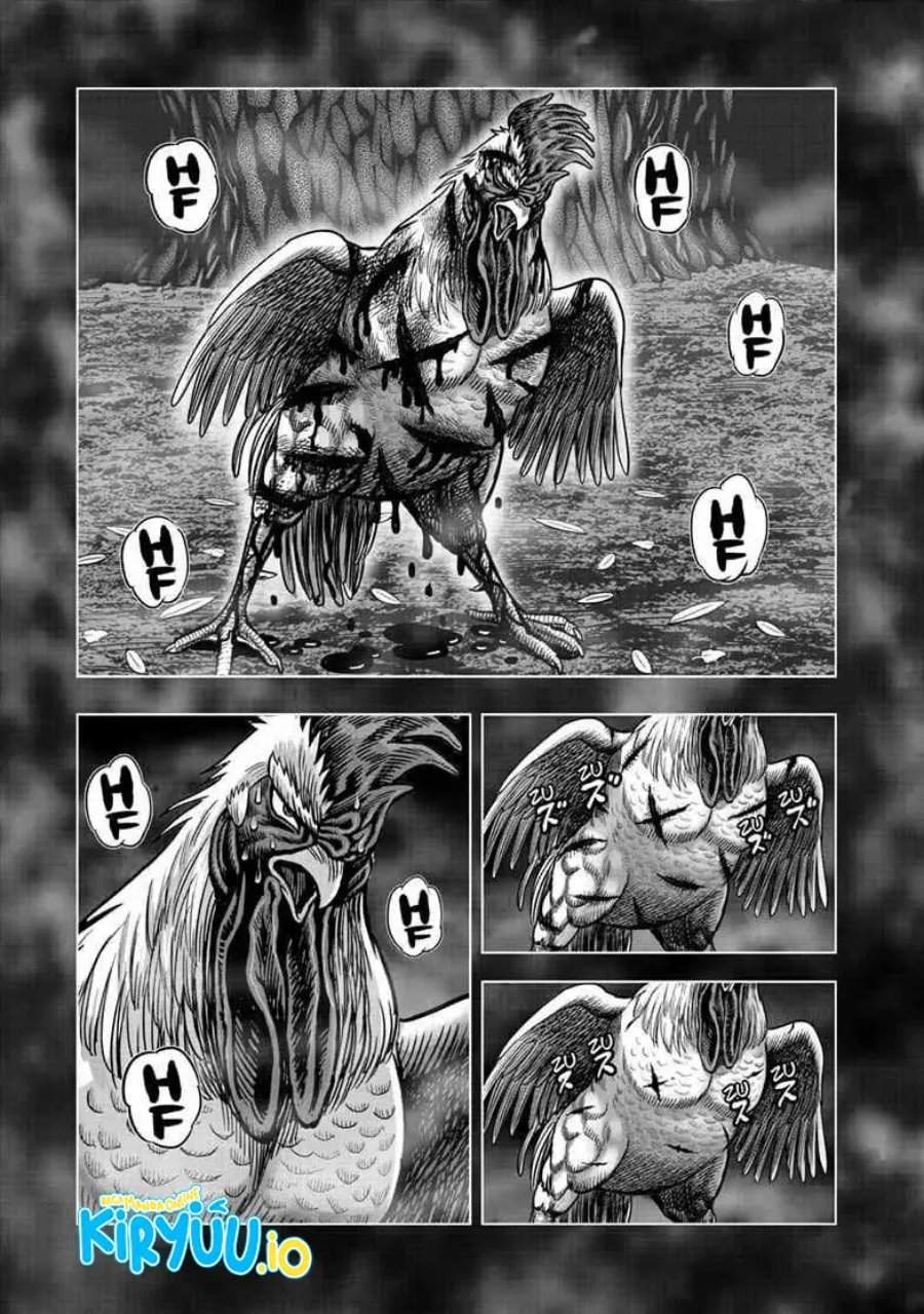 Rooster Fighter Chapter 56