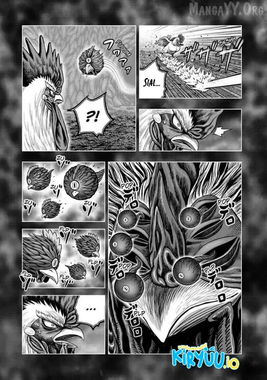 Rooster Fighter Chapter 56