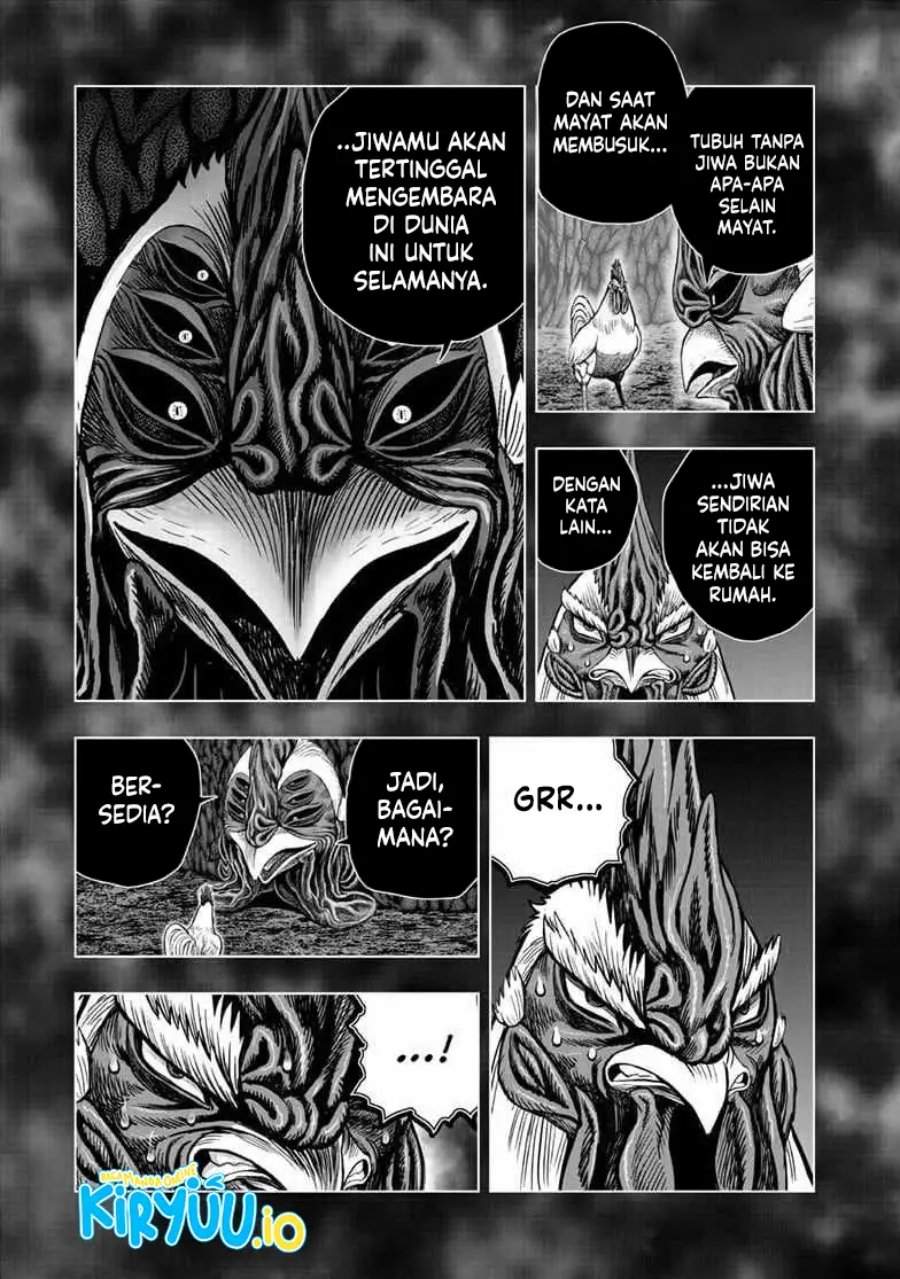 Rooster Fighter Chapter 56
