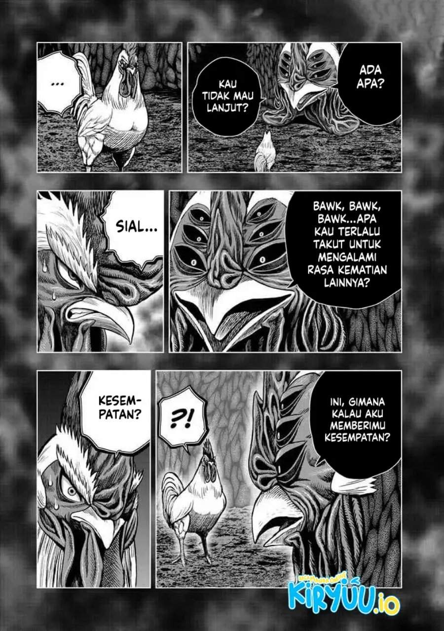 Rooster Fighter Chapter 56