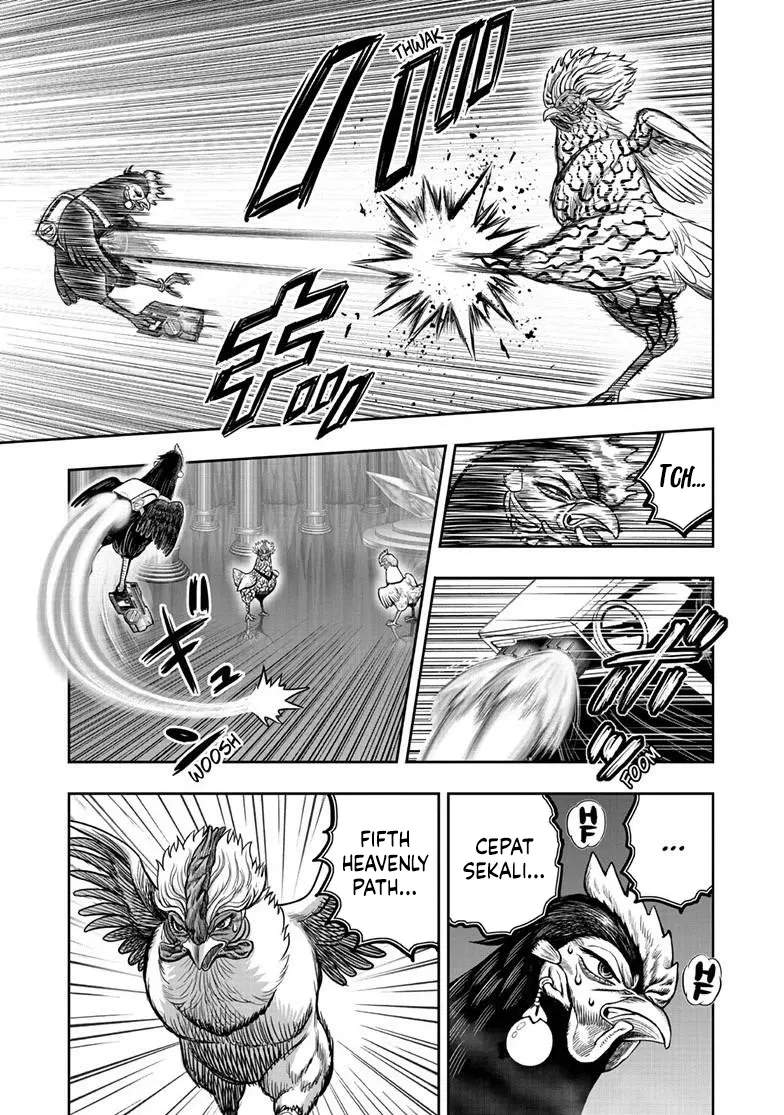 Rooster Fighter Chapter 58
