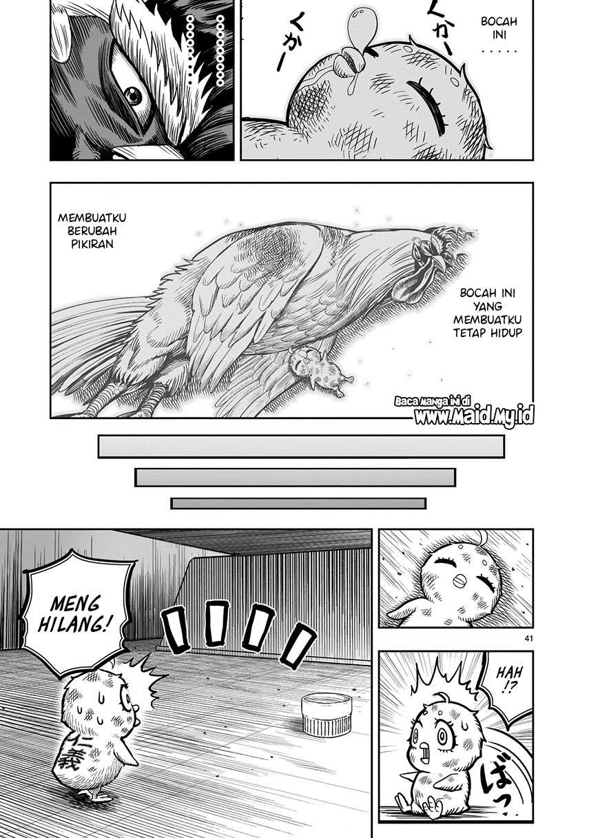 Rooster Fighter Chapter 06