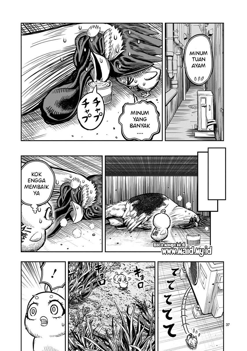 Rooster Fighter Chapter 06