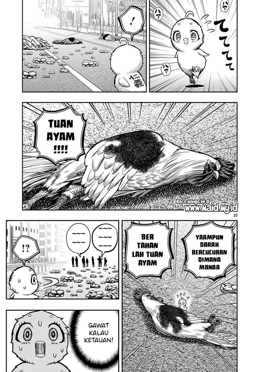 Rooster Fighter Chapter 06