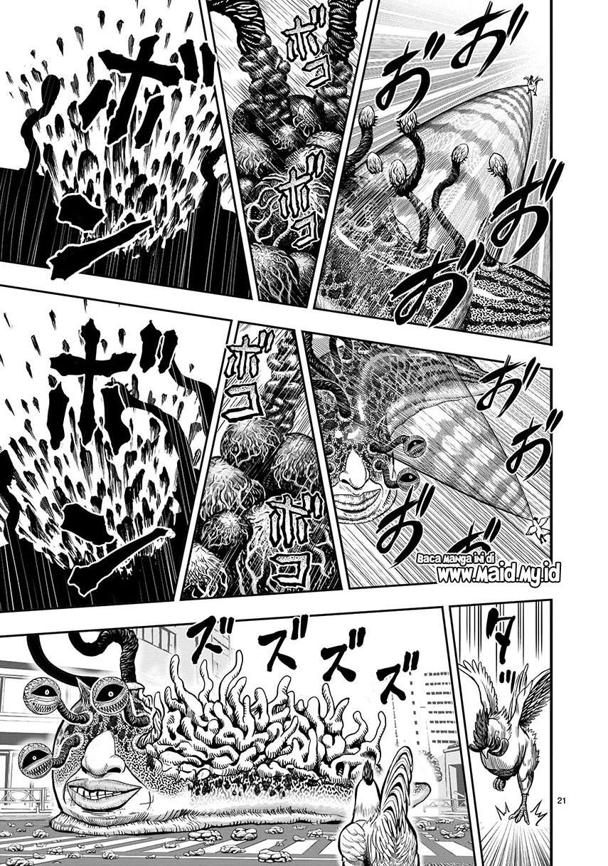 Rooster Fighter Chapter 06