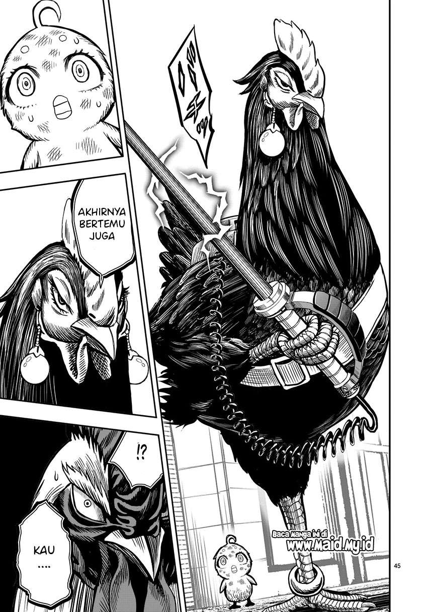 Rooster Fighter Chapter 06