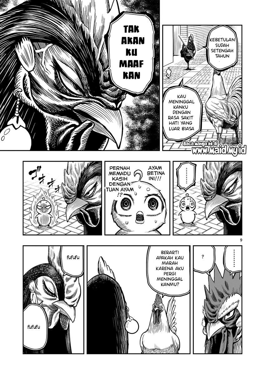 Rooster Fighter Chapter 07