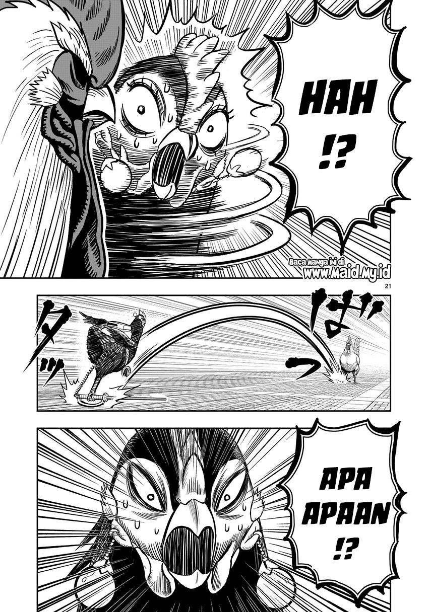 Rooster Fighter Chapter 07