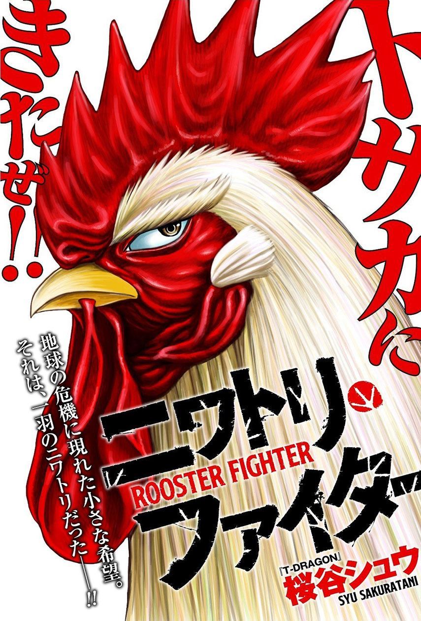 Rooster Fighter Chapter 07