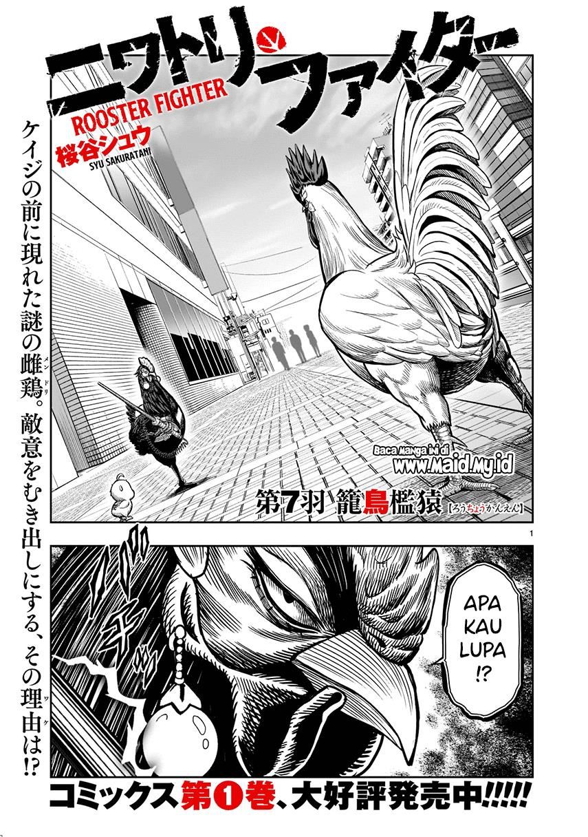 Rooster Fighter Chapter 07
