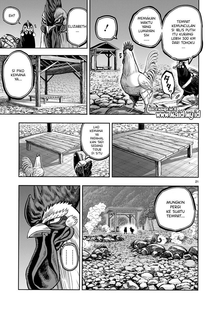 Rooster Fighter Chapter 08