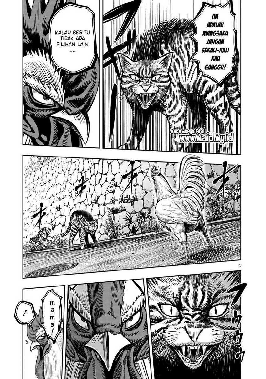 Rooster Fighter Chapter 09
