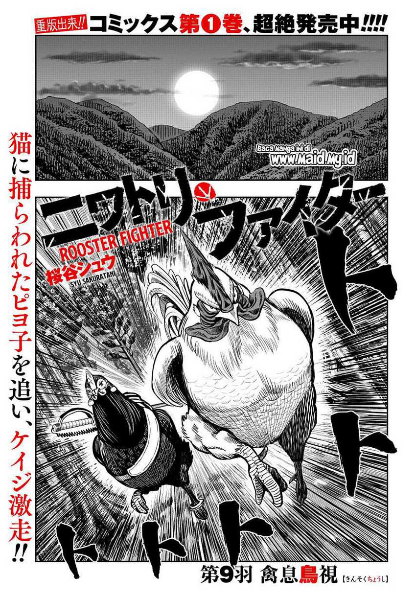 Rooster Fighter Chapter 09