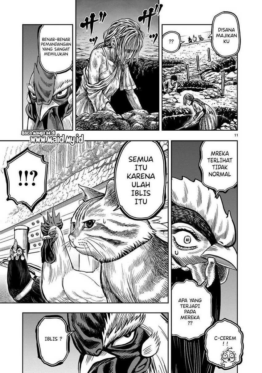 Rooster Fighter Chapter 09