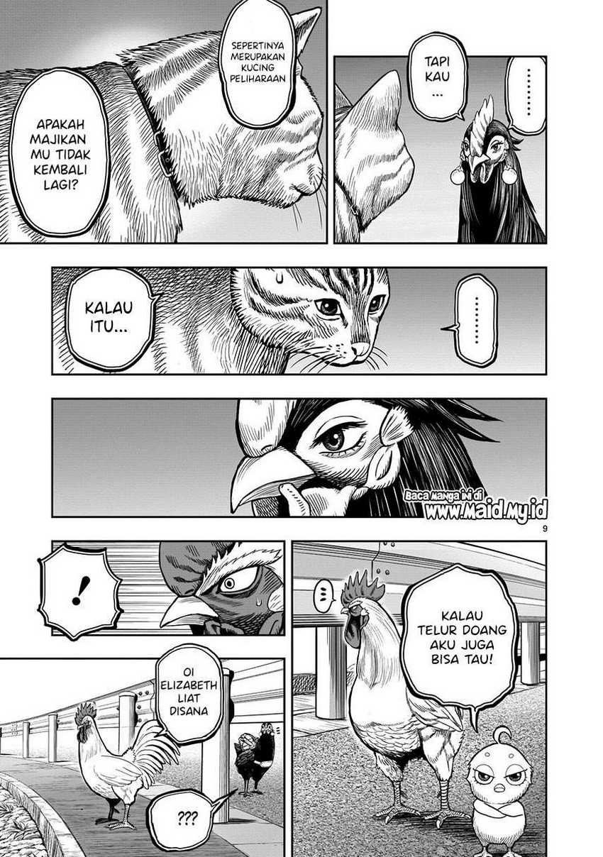 Rooster Fighter Chapter 09