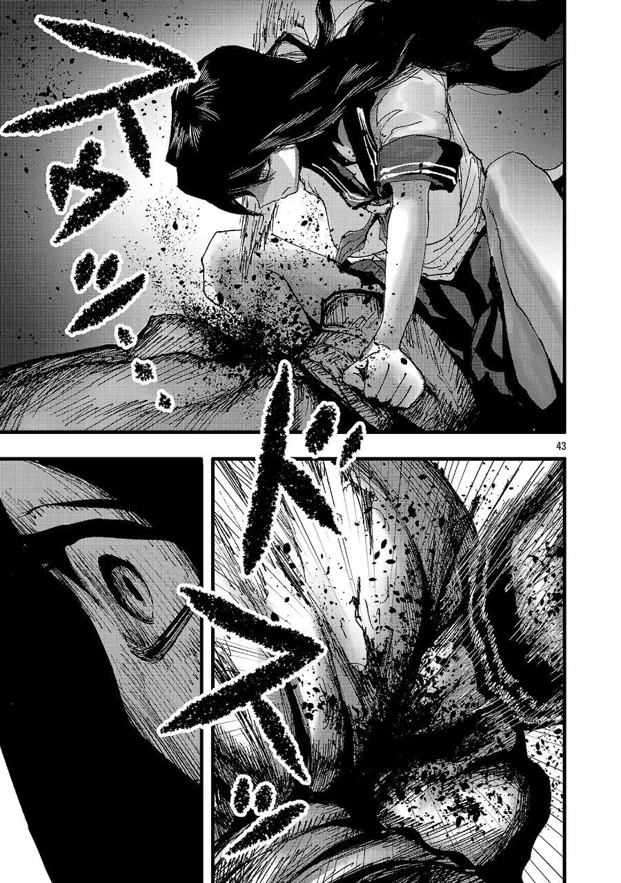 Page 43
