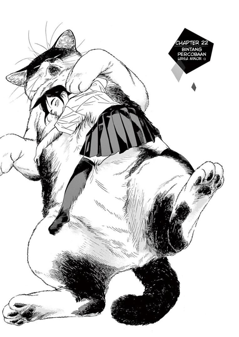 Kimi wa Houkago Insomnia Chapter 22